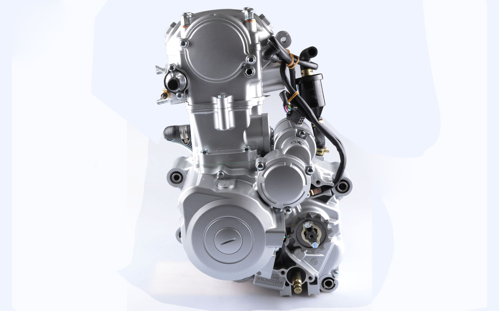 Zongshen ZS169MM 250cc Motor Wasserkühlung mit Rückwärtsg. - Cenkoo Bike